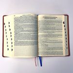 BIBLIA AVE MARIA EDIÇÃO DE ESTUDOS - MARROM