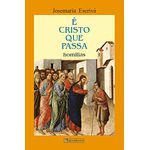 É CRISTO QUE PASSA - HOMILIAS