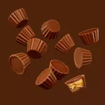 REESES PEANUT BUTTER CUPS MINIS 120G