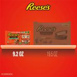 Reeses Nutcrackers 260gr