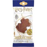 CHOCOLATE HARRY POTTER SAPO 15G 