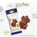 CHOCOLATE HARRY POTTER SAPO 15G 