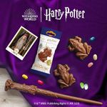 CHOCOLATE HARRY POTTER SAPO 15G 