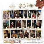 CHOCOLATE HARRY POTTER SAPO 15G 