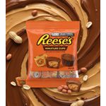 CHOCOLATE REESES MINIATURES 68G