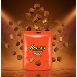 REESES PEANUT BUTTER CUPS MINIS 120G