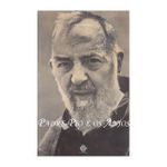 Livro: Padre Pio e os Anjos
