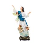 Imagem Resina - Nossa Senhora da Assunção 20 cm