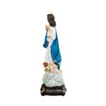 Imagem Resina - Nossa Senhora da Assunção 20 cm