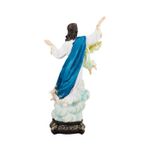 Imagem Resina - Nossa Senhora da Assunção 20 cm