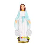 Imagem Plástico - Nossa Senhora Das Graças 8 cm