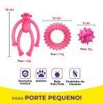 Kit Brinquedos Porte Pequeno Macaco Anel Bola Cravo - Big Bull Pet