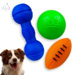 Kit Brinquedos Porte Médio Bola Halter Bola Futebol Americano - Big Bull Pet