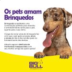 Kit Brinquedo Porte Médio Halter Bolas Anel G - Big Bull Pet