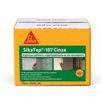 SIKA TOP 107 