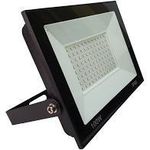 Refletor Led 100w Remanci 6500k Biv 