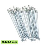 Raio Traseiro Aro 24'', Zinc. C/ Niple Ø 3,0x100,0mm ZIII (Motor GG) (Kit 36 un)