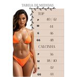 Biquíni Cortininha Asa Delta Verde Agua 