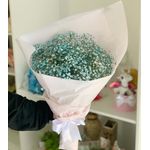 Gypsophila Azul