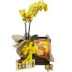 Natal com Orquidea e Ferreros 
