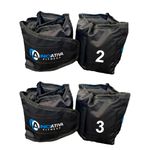 Kit caneleira 2kg e 3kg - par