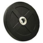Anilha olímpica 10kg - unidade | iniciativa fitness