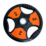 ANILHA OLIMPICA 2KG TOPCOLOR INICIATIVA FITNESS