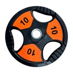 ANILHA OLIMPICA 10KG TOPCOLOR INICIATIVA FITNESS