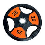 ANILHA OLIMPICA 25KG TOPCOLOR INICIATIVA FITNESS