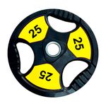 ANILHA OLIMPICA 25KG TOPCOLOR INICIATIVA FITNESS
