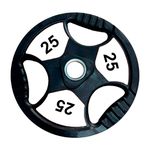ANILHA OLIMPICA 25KG TOPCOLOR INICIATIVA FITNESS