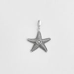 Pingente estrela do mar grande prata 925 