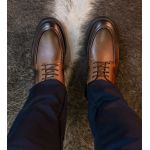 Sapato Brawd Derby Magnum Whisky