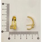 Brinco Ear Hook com Zircônia