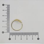 Anel com Dois Corações 1mm
