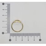 Anel Retangular Vazado 1mm