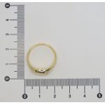Anel Sinete Oval 2mm