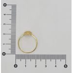 Anel Nossa Senhora Aparecida 1mm