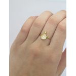 Anel Nossa Senhora Aparecida 1mm