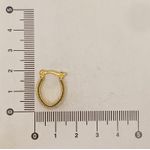 Brinco Argola Oval Vazada 