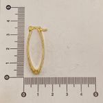 Brinco Argola Oval
