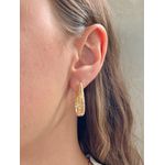 Brinco Argola Com Zircônias 