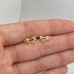 Brinco Cavalo Vazado