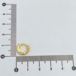 Brinco Argola Cravejada 1,5mm P