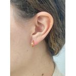 Brinco Argola Redonda P