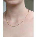Colar Rabo de Rato Diamantada 45cm