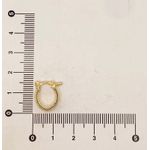 Brinco Argola Oval