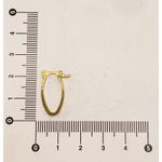 Brinco Argola Oval Fina