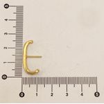 Brinco Ear Hook Com Zircônia