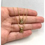 Colar Nossa Senhora Do Carmo E Sagrado Coração de Jesus 70cm